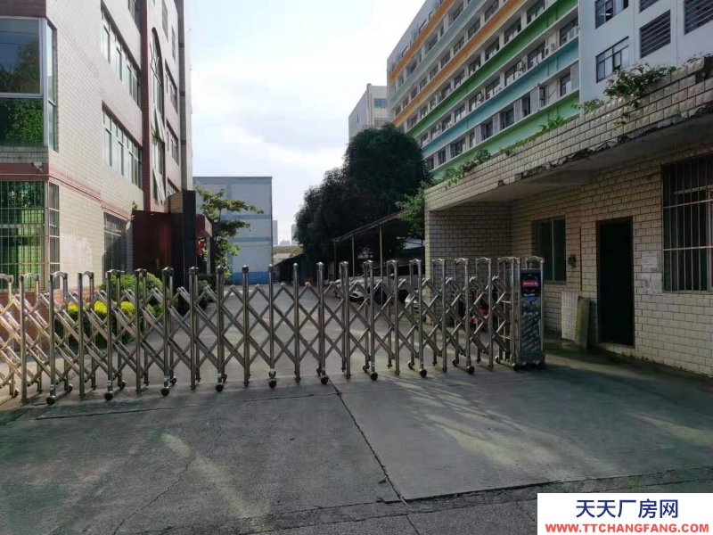 (出租)南寧市西鄉(xiāng)塘區(qū)西鄉(xiāng)塘高科路廠房、辦公室 出租