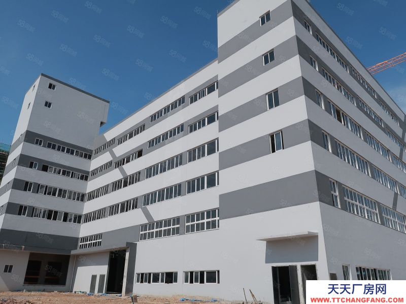 (出售) 廣州白云700至3萬平廠房獨門獨院,50年產權,M2用地,10年按揭