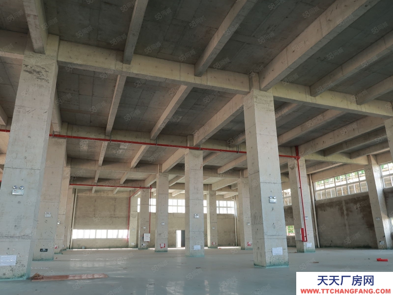 (出售) 廣州白云700至3萬平廠房獨門獨院,50年產權,M2用地,10年按揭