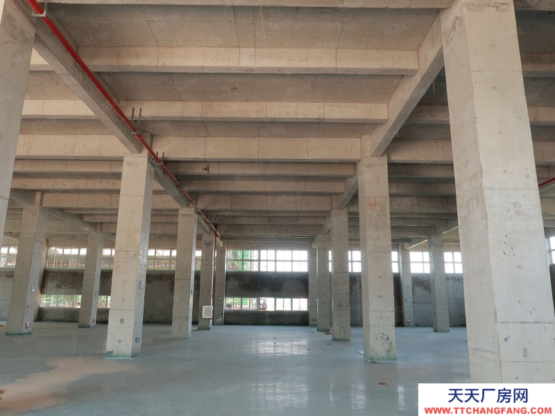 (出售) 廣州白云700至3萬平廠房獨門獨院,50年產權,M2用地,10年按揭