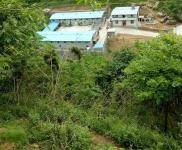 (出售) 十堰茅箭羊場(chǎng)，可以喂千頭以上，也可以放養(yǎng)