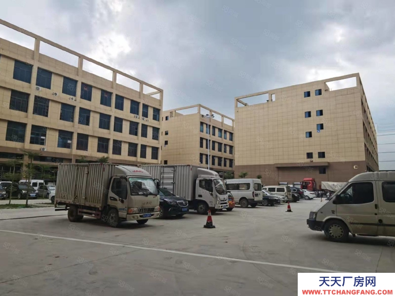 (出租)南寧市西鄉塘區特惠!租金10元平,可做廠房倉庫,可辦公