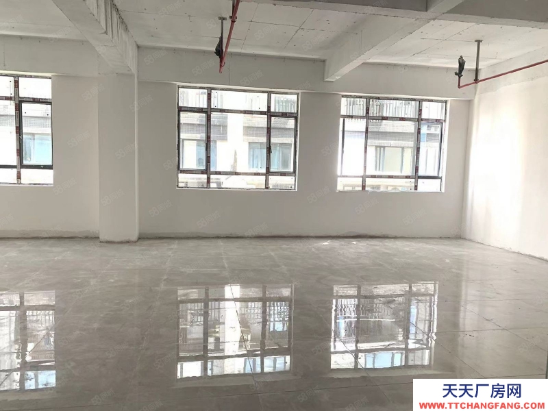 (出租) 廣州白云物業直租 倉儲辦公一體化 三條電梯 500至2000方可隔