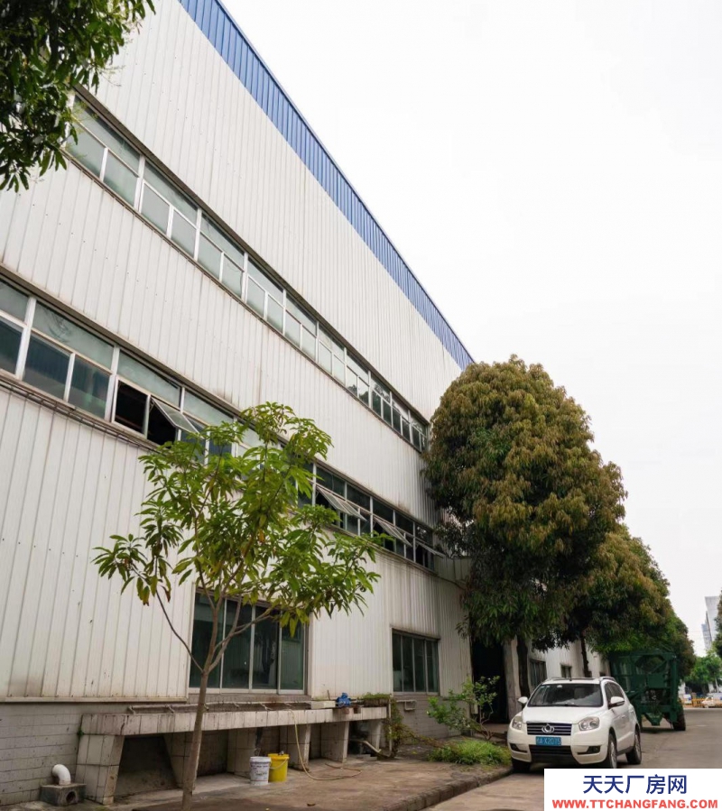 (出租)南寧市西鄉(xiāng)塘區(qū)高新區(qū)高新五路廠房12米高有5噸航吊鋼結構標準廠房倉庫出租