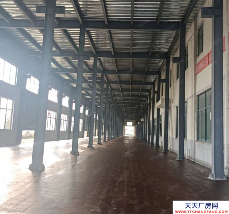 寧波江北(出售) 江北路林5.5畝.8米高,2400萬