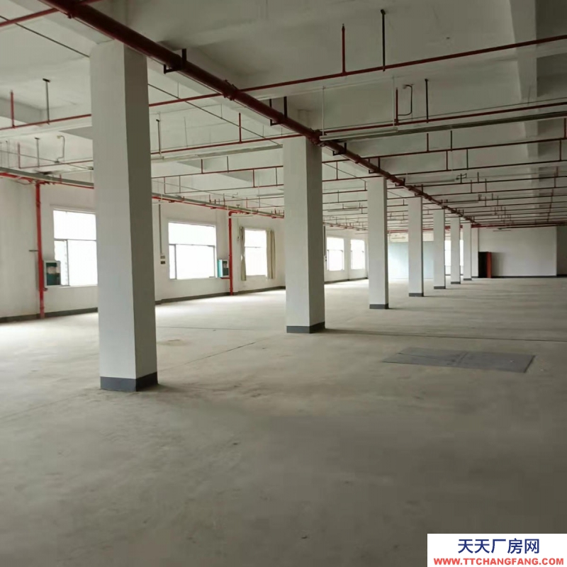 (出租)南寧市西鄉(xiāng)塘區(qū)高新區(qū)標準廠房、倉庫出租，大車出入方便，交通便利