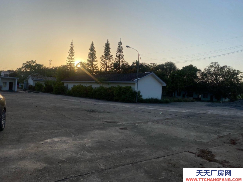 (出租) 南寧市西鄉塘區壇洛淀粉廠工業用地出租