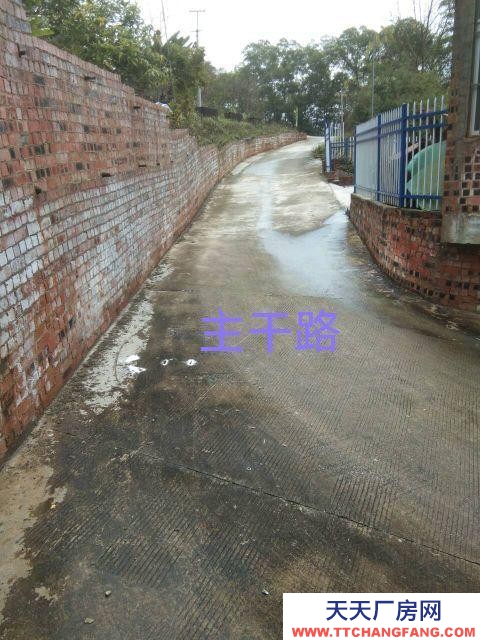 (出租)南寧市西鄉塘區廠房干凈整潔，通風明亮。