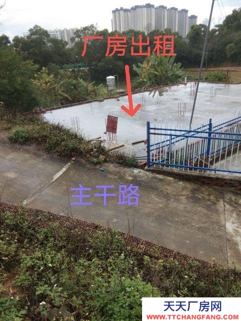 (出租)南寧市西鄉塘區廠房干凈整潔，通風明亮。