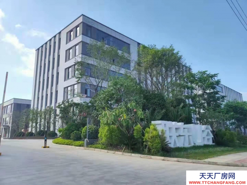 (出租)南寧市西鄉塘區獨棟花園式標準廠房出租 西鄉塘