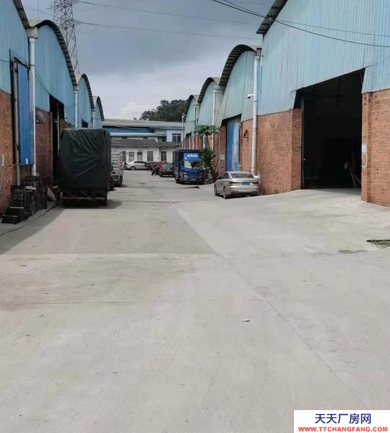 (出租)南寧市西鄉塘區交通方便，離南武大道250米