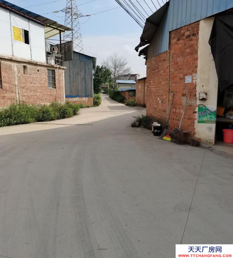 (出租)南寧市西鄉塘區交通方便，離南武大道250米