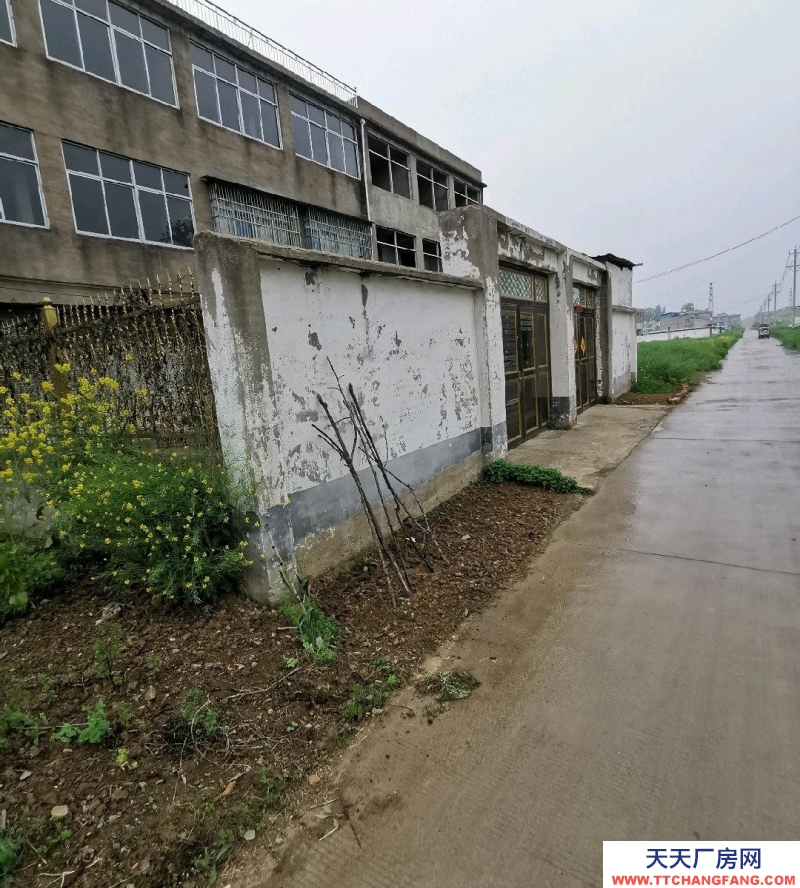 (出售) 阜陽潁州程集鎮300平方