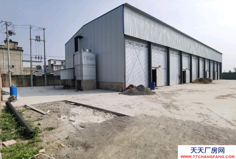 (出租)阜陽潁東8千方保鮮庫冷庫可分租