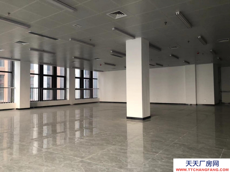 (出租) 阜陽界首300-2000平米精裝 可辦公 可倉儲。電商網紅直播產業園