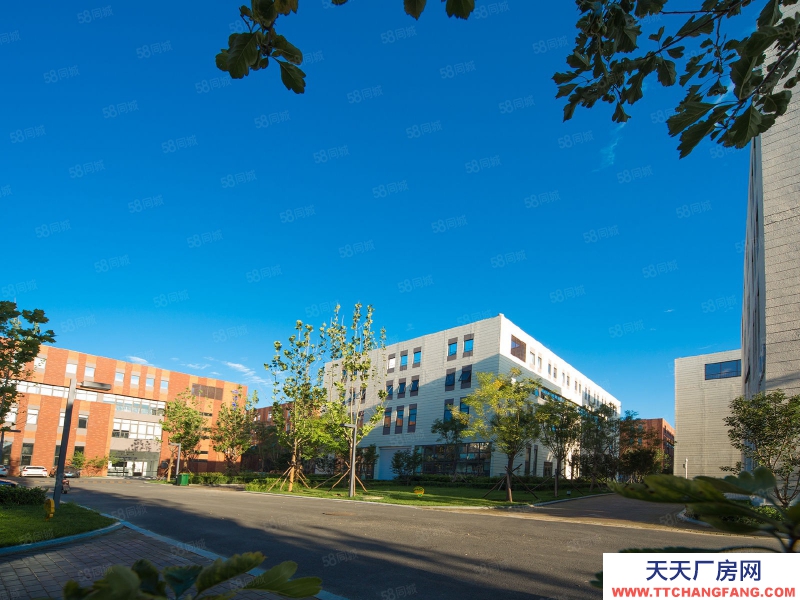 保定 雄縣 京雄中試基地產(chǎn)業(yè)園廠房出租6000,簡裝拎包入駐隨時(shí)看房