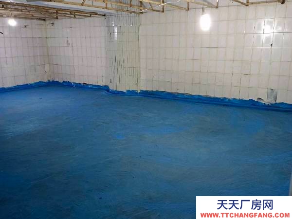 (出租) ，東湖公園邊上，地下室倉庫出租。