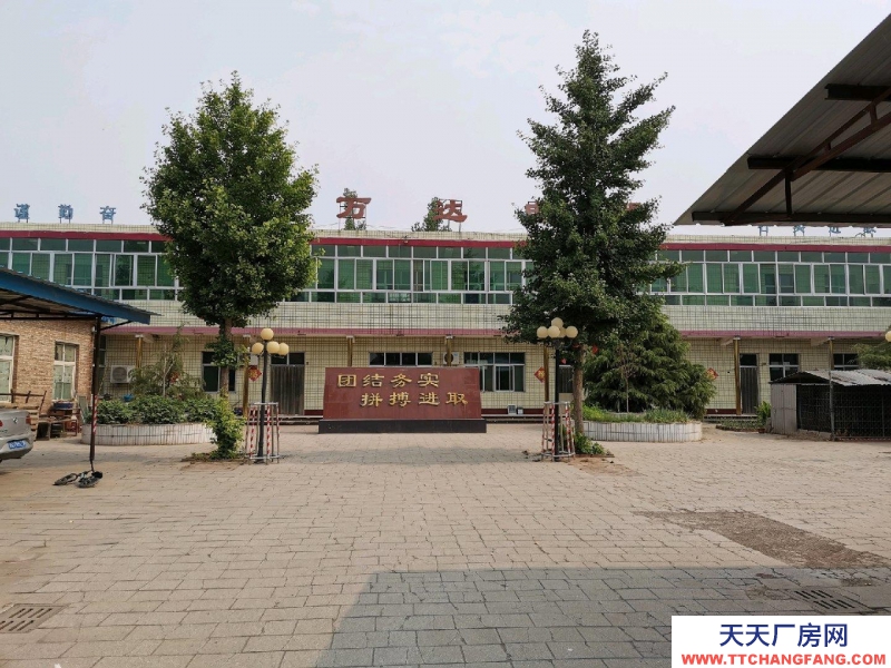 保定 雄縣 雄安新區雄縣辦公樓廠房出租，交通便利，設施齊全。