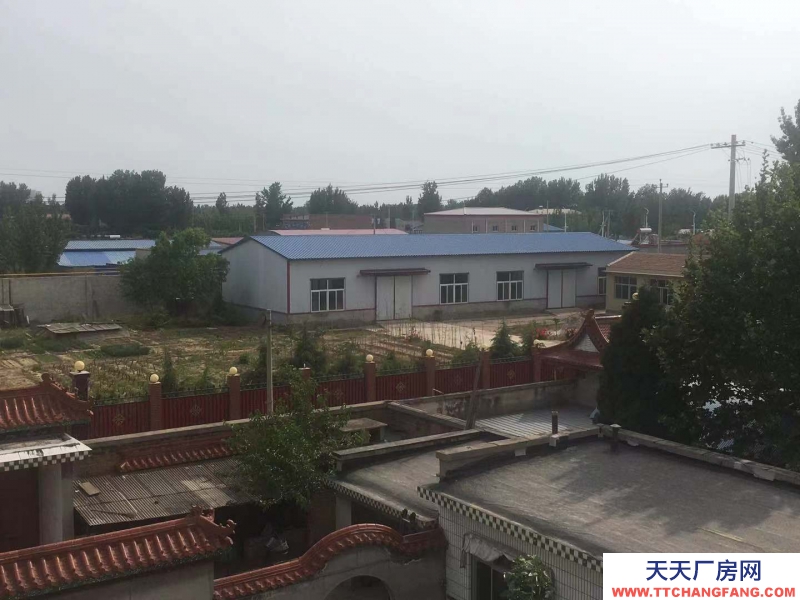 保定 雄縣 雄安新區雄縣辦公樓廠房出租，交通便利，設施齊全。