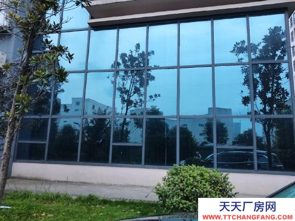 株洲市荷塘區(qū)出租荷塘向陽廣場(chǎng)金城國(guó)投廠房
