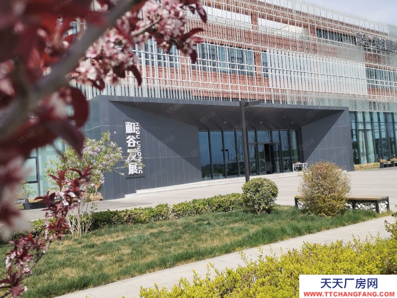 保定 雄縣  雄安北低價獨棟廠房行業不限首層7.8米可環評可生產可定制