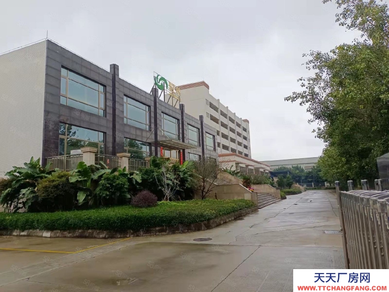 (出租) 佛山三水區西南河囗工業區花園式廠房，8000平可做獨棟，配套完善