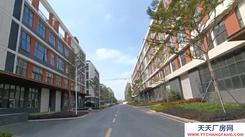 (出售) 佛山三水白坭2000平小獨棟全新廠房出售 50年產權 首付3成