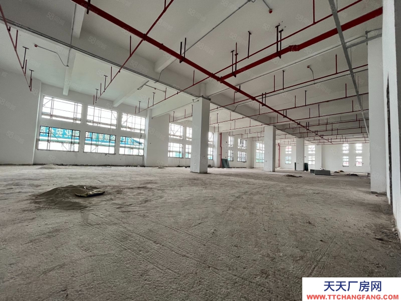 (出售) 佛山三水現樓廠房!毗鄰白云花都,無稅收要求,可個人名義購買!