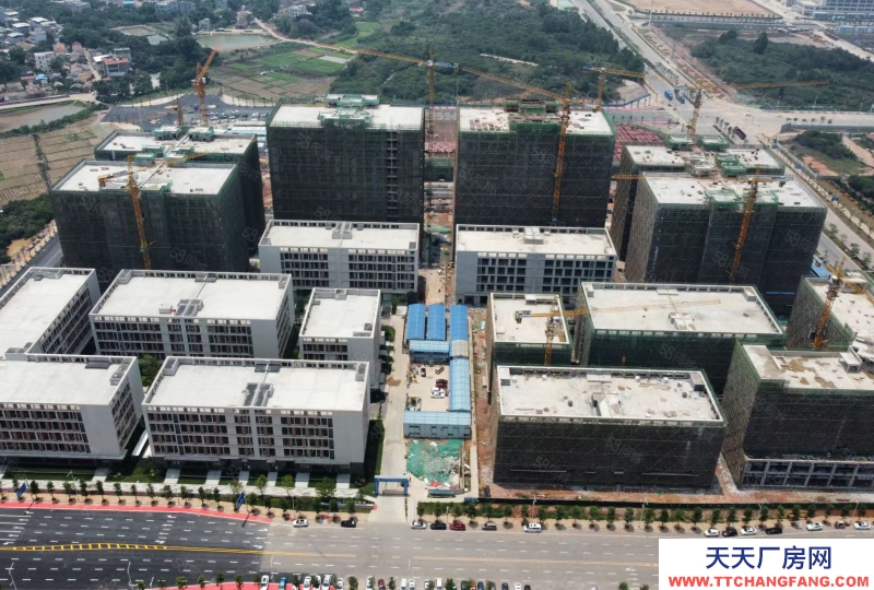 (出售) 佛山三水云東海 全新廠房可獨棟可分出售 50年產(chǎn)權(quán)紅本