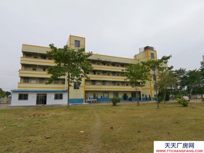 (出售) 佛山高明荷城15000平國(guó)有雙證紅本獨(dú)門(mén)獨(dú)院廠房出售