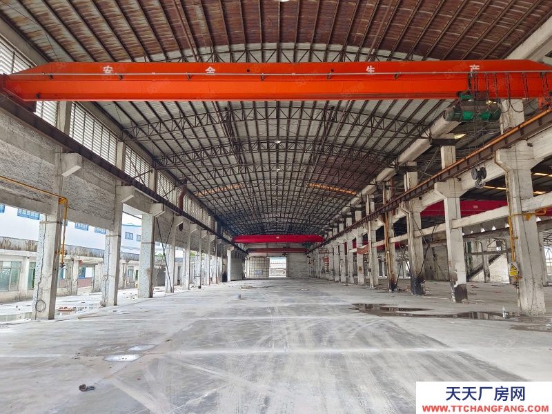 (出租) 佛山高明16噸航車,荷城三洲工業(yè)區(qū)獨院單一層重工業(yè)廠房低價出租