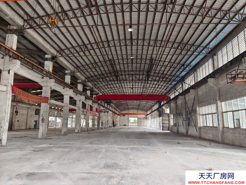 (出租) 佛山高明16噸航車,荷城三洲工業(yè)區(qū)獨院單一層重工業(yè)廠房低價出租