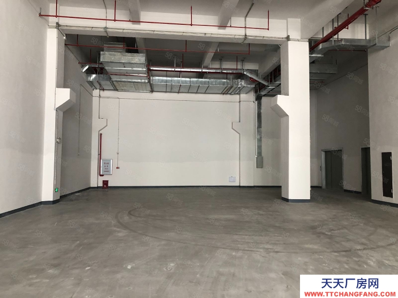 (出租) 佛山順德直對業主 北滘園區首層廠房 8米高 帶牛腿648方 直對業主