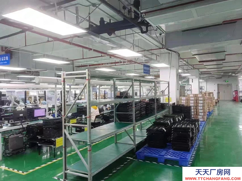 (出租) 佛山順德區(qū)容桂標準廠房出租帶紅本原房東便宜招租大小可以分租