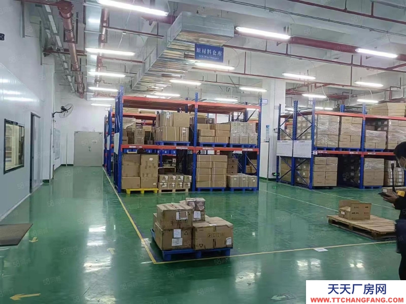 (出租) 佛山順德區(qū)容桂標(biāo)準(zhǔn)廠房出租帶紅本原房東便宜招租大小可以分租