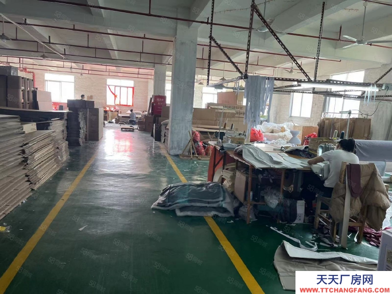 (出租) 佛山順德區(qū)容桂標(biāo)準(zhǔn)廠房出租帶紅本原房東便宜招租大小可以分租