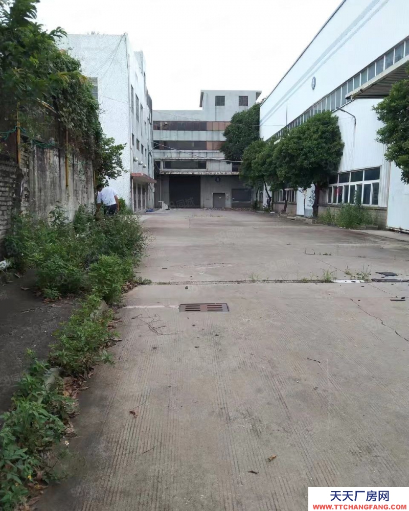 (出租) 佛山順德大車隨意進 陳村標準和鋼構(gòu)40000方位置好配電大好招工