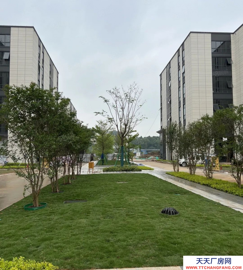 (出售) 佛山順德2700方小面積3.5層獨(dú)棟，全新國有工業(yè)用地送電梯可辦環(huán)評(píng)