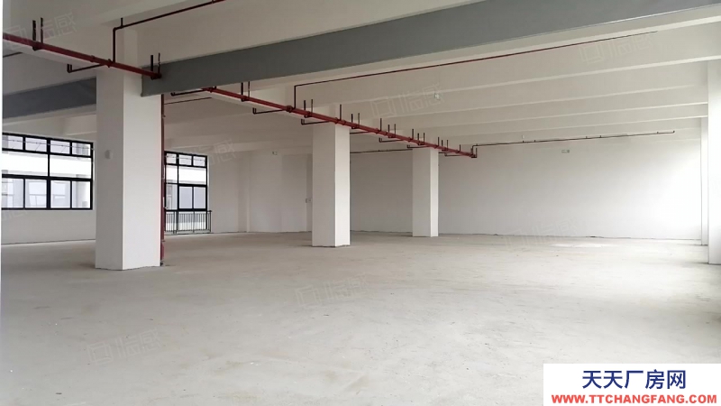 (出售) 佛山順德首付二成貸款十年均安臨港工業區紅本現房600平起售高8米