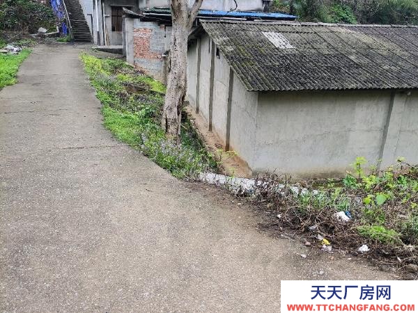 株洲市蘆淞區可整租也可分租，長租更優惠