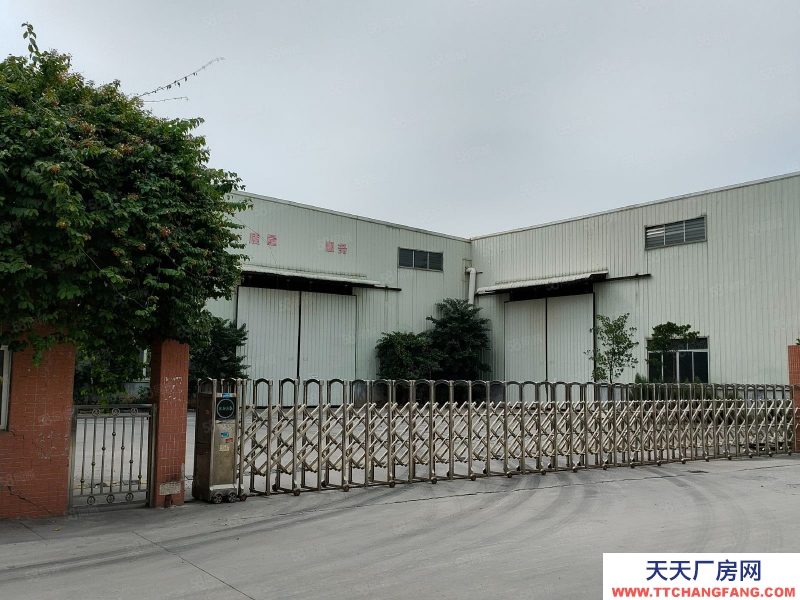 (出租) 佛山南海丹灶低價廠房出租或轉(zhuǎn)讓