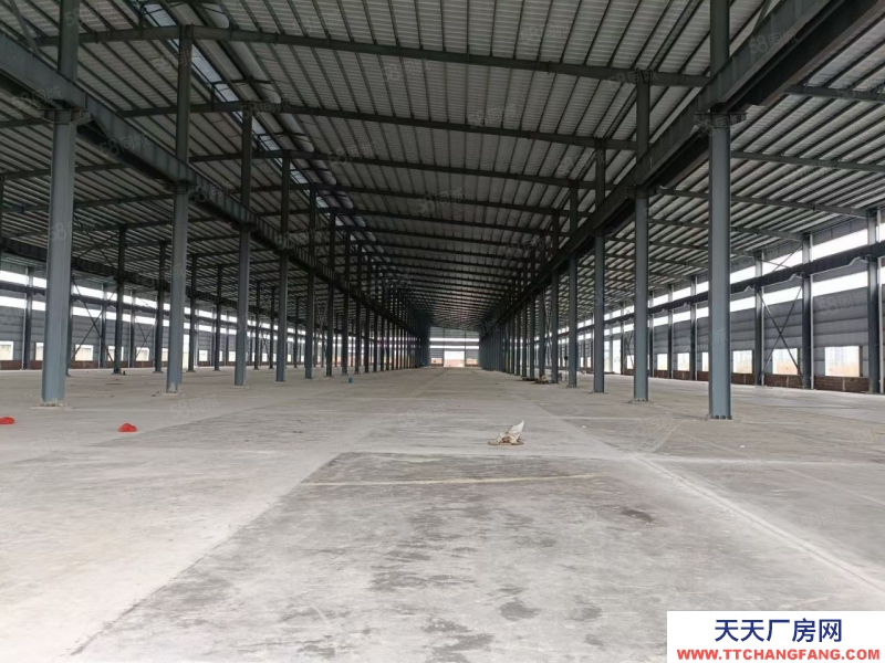 (出租) 佛山禪城南莊梧村工業區全新單一層鋼構廠房出租滴水11米帶牛腿