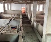 (出租) 黃岡羅田在河鋪鎮白鶴灣村（自家建的）