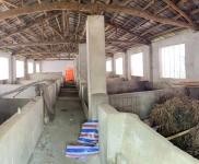 (出租) 黃岡羅田在河鋪鎮白鶴灣村（自家建的）