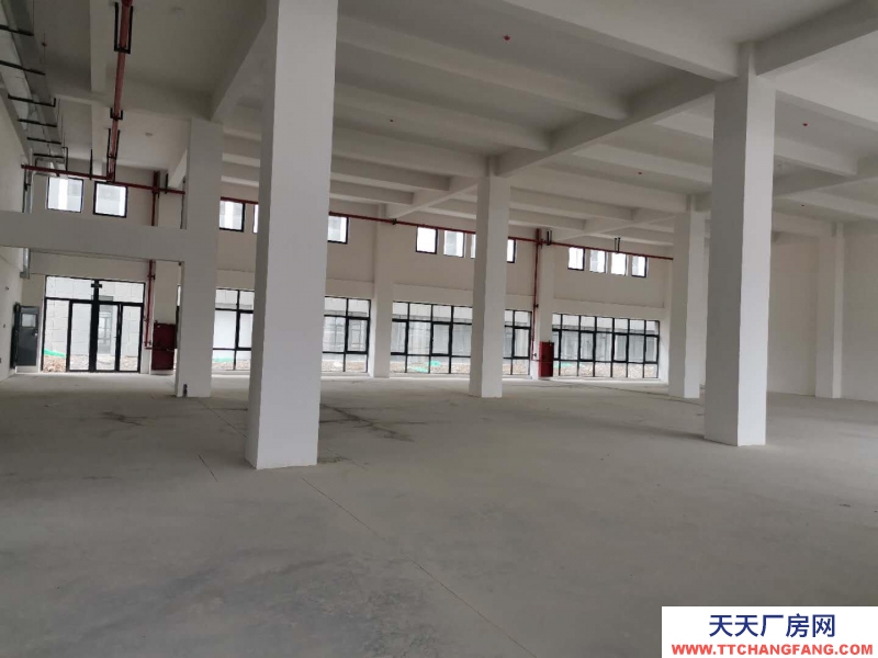 (出售)阜陽潁泉區大產權工業廠房開發商直售現房