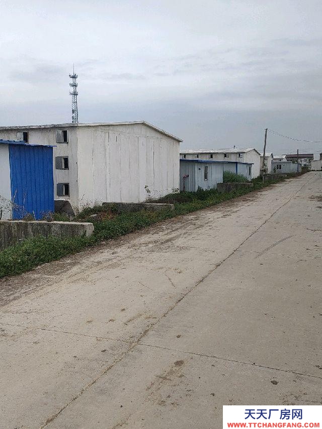 (出售) 阜陽潁上適合大棚蔬菜種植各類食用菌種植