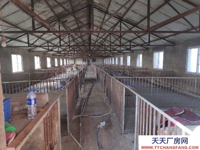 (出售) 阜陽(yáng)潁上養(yǎng)殖場(chǎng),可以做廠房。三相電養(yǎng)殖用電,電價(jià)便宜,路好