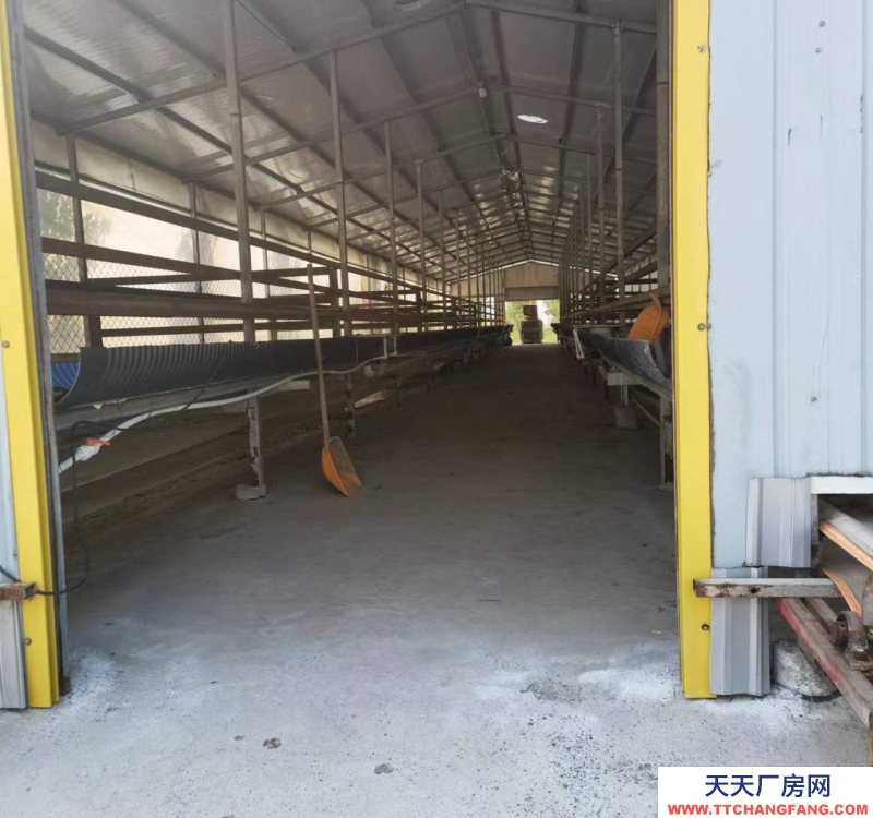 (出售) 阜陽潁上大型養羊場，手續齊全