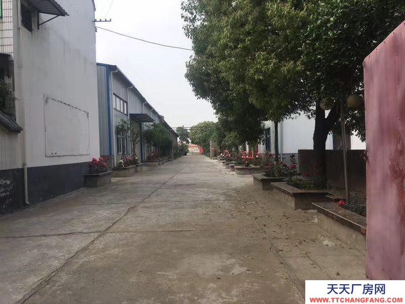 (出售) 阜陽阜南酒廠出售，各項設施完善