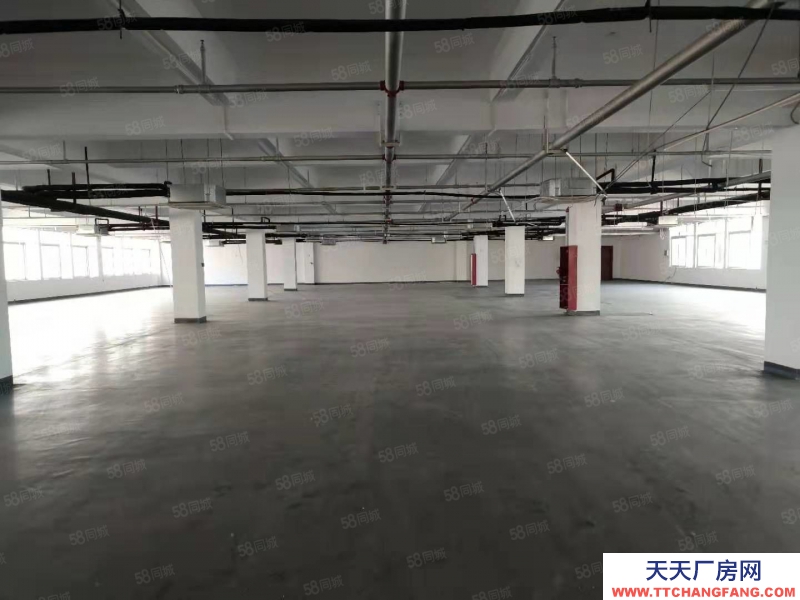 (出租)阜陽潁泉 2001000平的大通道廠房 可進大車